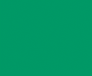 Werbebanner BDO